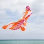 Hammamas Reef Orange Fuschia turkish beach towel Flying high