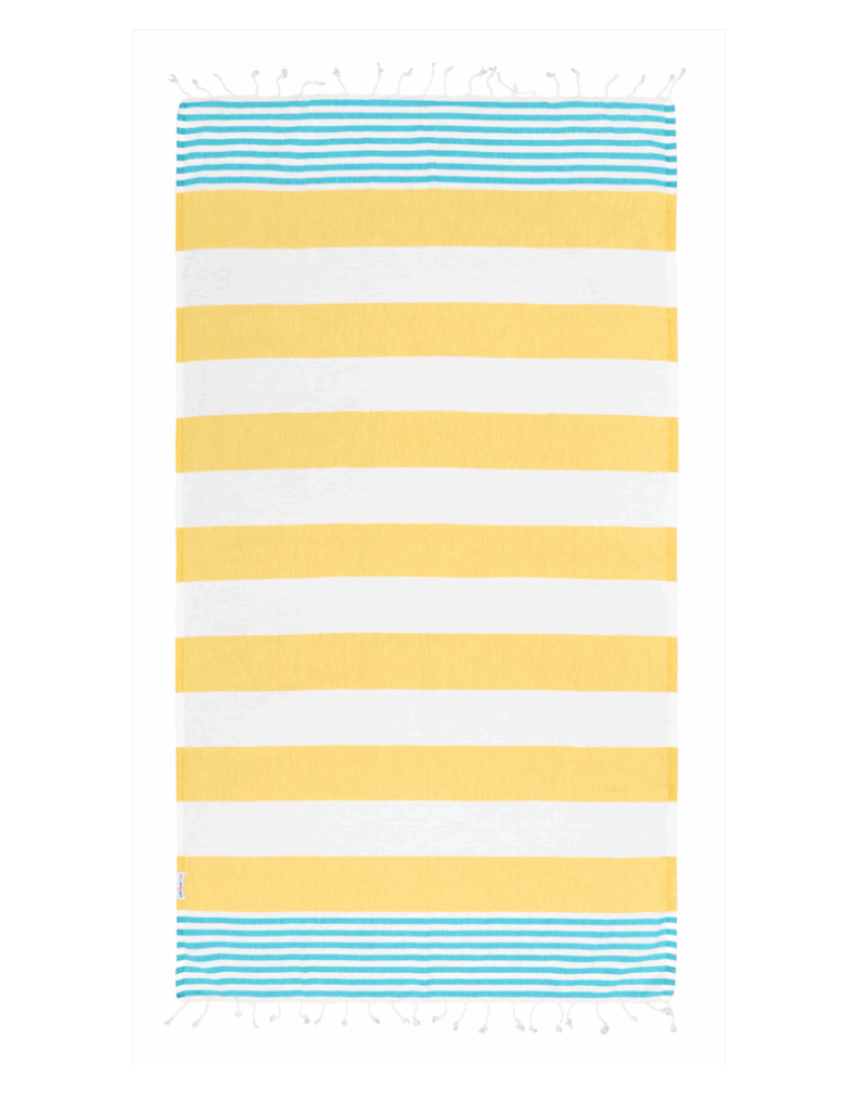 Hammamas Reef Aqua Daisy